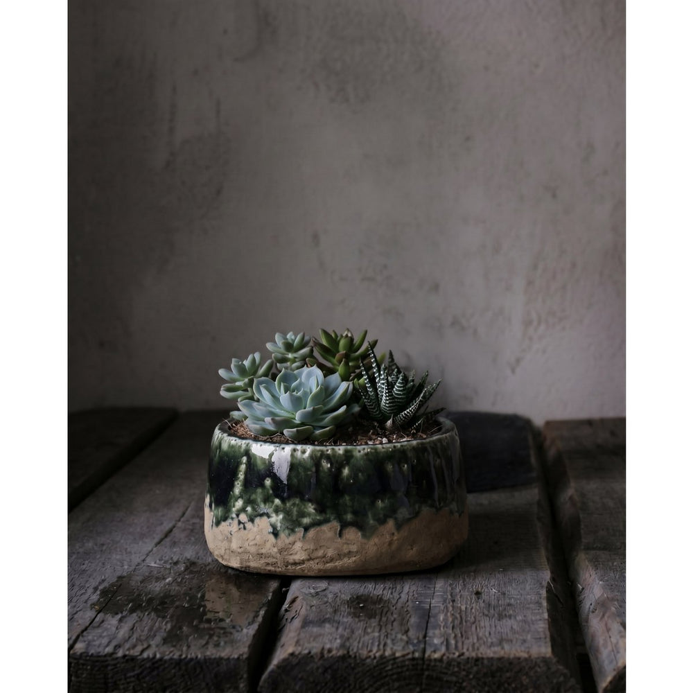 Green stoneware bowl planter with concrete-look finish