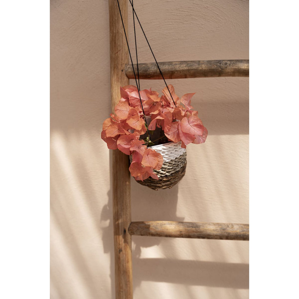 Natural white banana leaf hanging plant basket